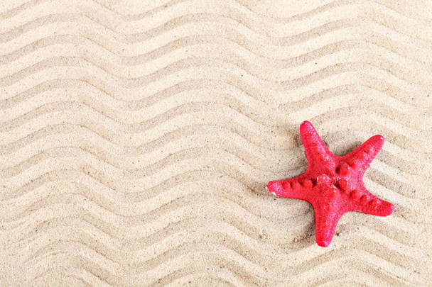 Starfish and shells on the beach. - Foto, afbeelding