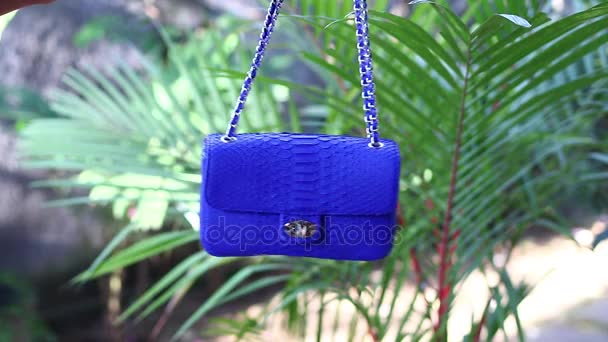 Fashion luxe slangenhuid python handtas in beweging op een tropische tuin achtergrond. Bali eiland. Kleine blauwe zak. - Video