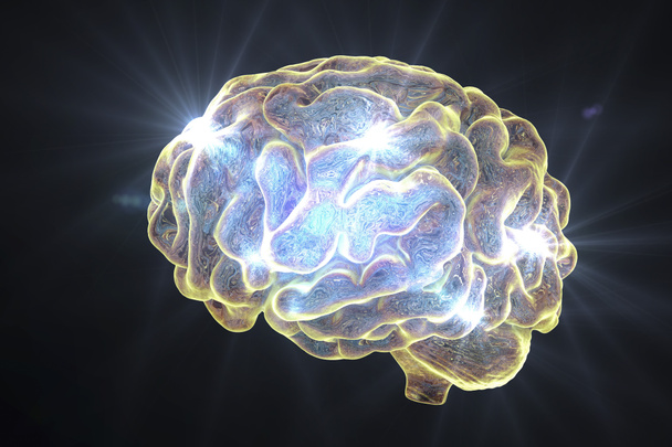 Menselijk brein, illustratie - Foto, afbeelding