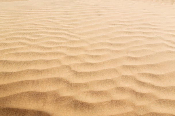 Omán absztrakt textúra line hullám - Fotó, kép