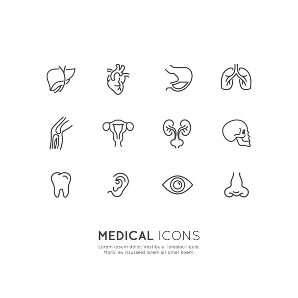 Medical Health Services - Vetor, Imagem