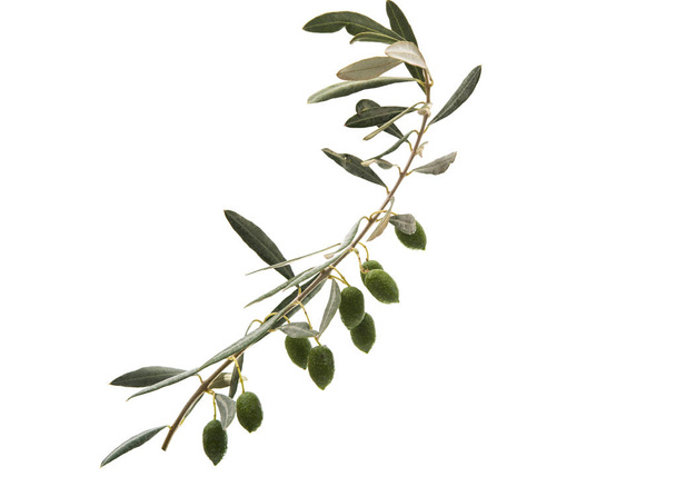 groene olijven met bladeren  - Foto, afbeelding