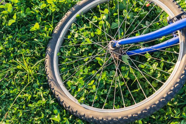 Bicycle lying on the grass - 写真・画像