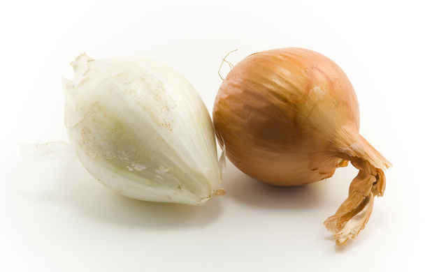Onion - Fotografie, Obrázek