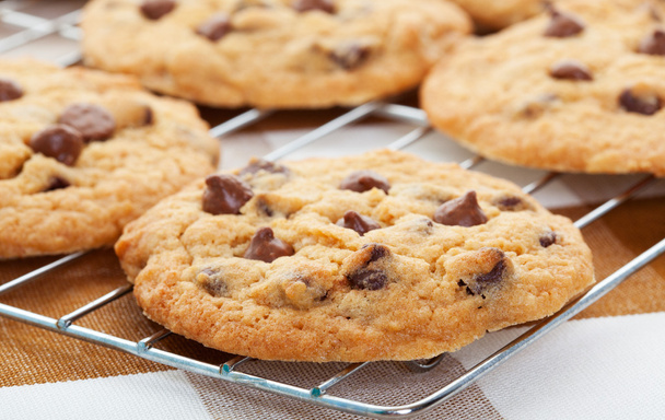 Chocolate Chip Cookies - Photo, Image