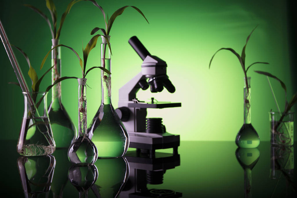 Biotechnology and floral science theme.  - Photo, Image