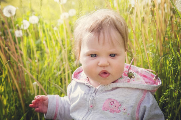 Baby girl sitting in the grass on a background of white dandelions. - Photo, Image