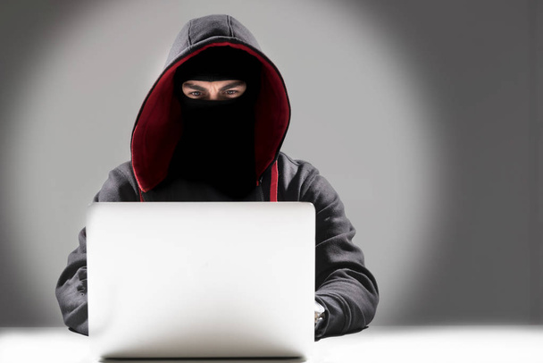 Serene computer burglar downloading data - Photo, Image