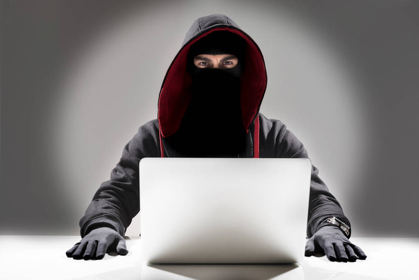 Serious hacker stealing information from laptop - Fotografie, Obrázek