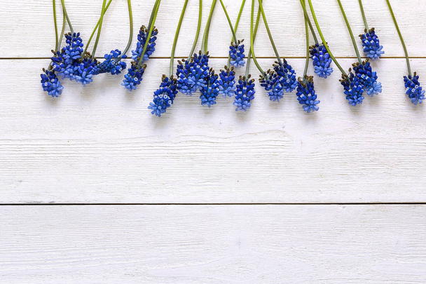 Border of blue muscaries flowers on white wooden background. Pla - Φωτογραφία, εικόνα