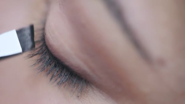 Shading the eye shadow on the eyelid with a brush - Footage, Video