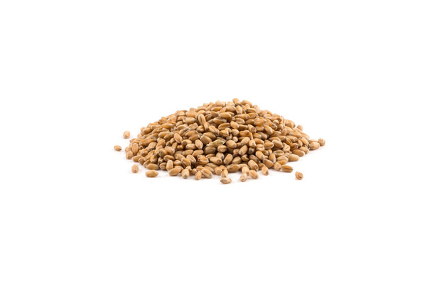 Wheat grain on white - Foto, Imagem