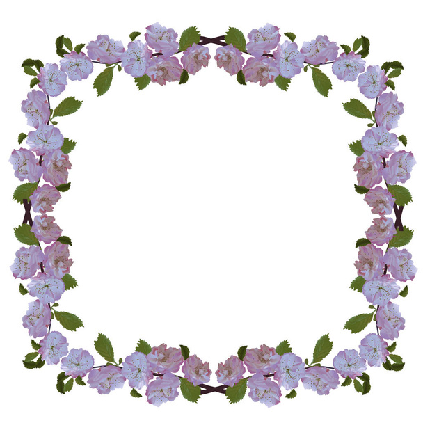 A branch of a cherry blossom frame - Vector, Image