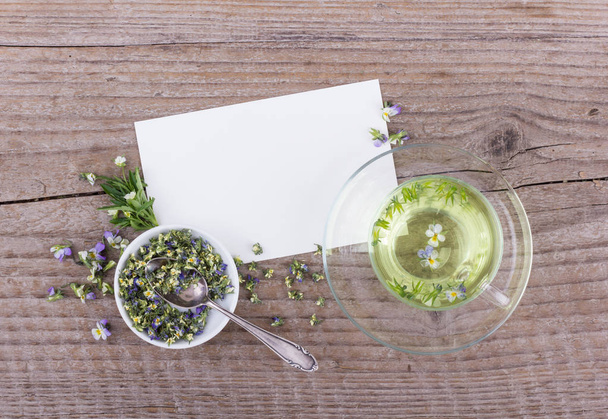 herbal tea with heartsease  - Photo, Image