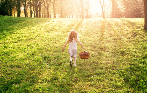 niña con canasta de mimbre corre a través del campo en los rayos
 - Foto, Imagen