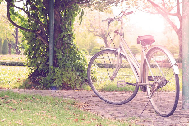 vintage bicycle on summer - Valokuva, kuva