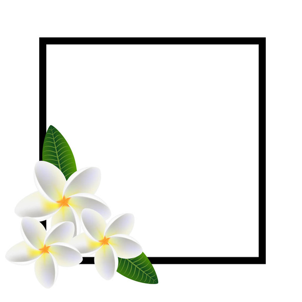 Floral frame with flowers frangipani (Plumeria). - Vector, Image