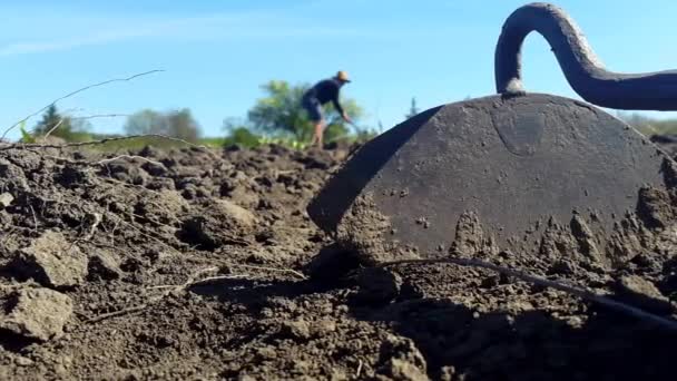 Egy eszköz a ápolása a talajban, és a férfi a kalap műveli a talajt, a háttérben - Felvétel, videó