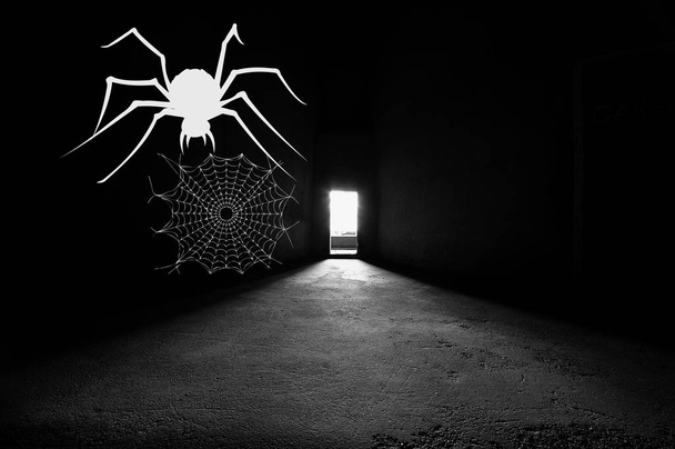 pavouk na zdi - Fotografie, Obrázek