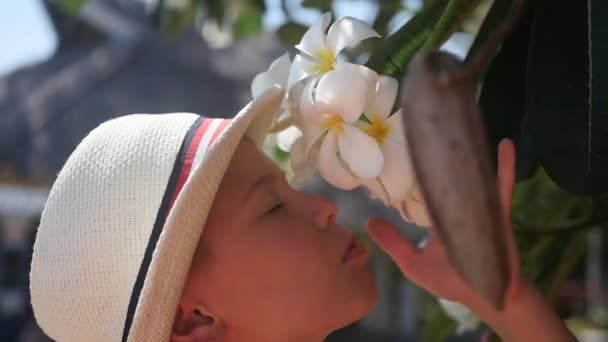 хлопець насолоджується ароматом квітучих тропічних дерев. Плюмерія
 - Кадри, відео
