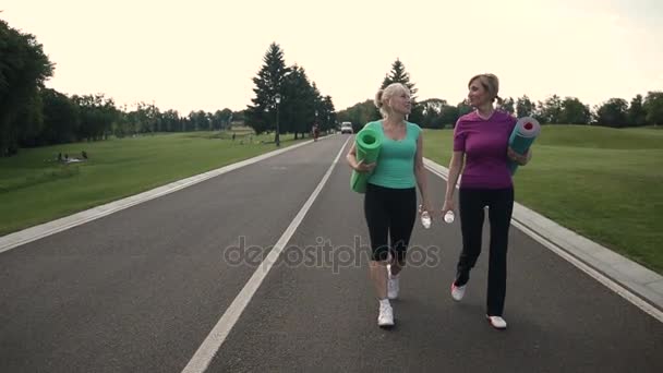 Γυμναστήριο ενήλικες γυναίκες πρόκειται για σπορ στο πάρκο - Πλάνα, βίντεο