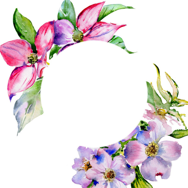 Wildflower svída květinový rámeček ve stylu akvarelu, samostatný. - Fotografie, Obrázek