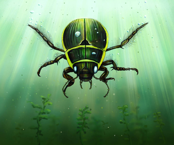  Great diving beetle underwater - Photo, Image
