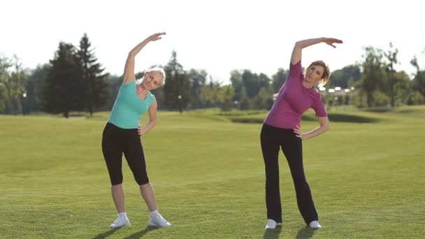 Fit women stretching hands and warming up in park - Footage, Video