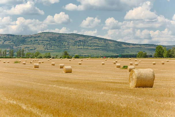 Γεωργικός τομέας με μπάλες - Φωτογραφία, εικόνα