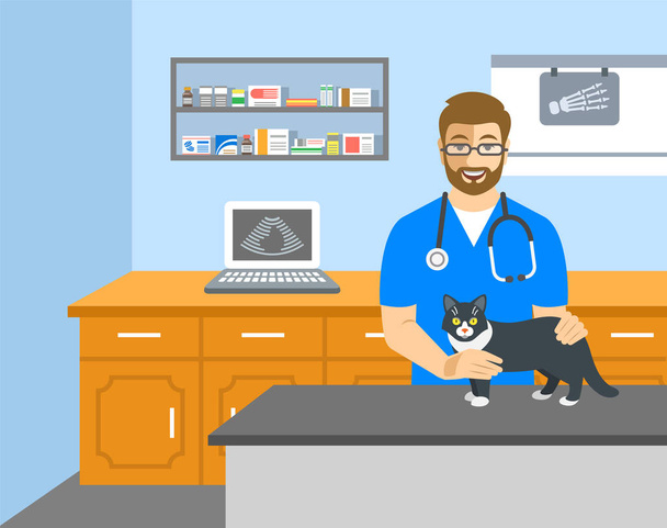 Veterinarian doctor holds cat on examination table - Vector, Image