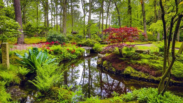 Traditionele Japanse tuin in Den Haag. - Foto, afbeelding