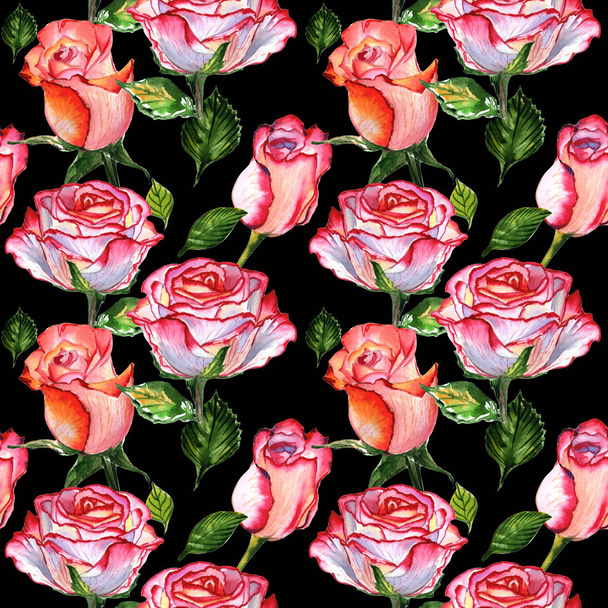 Wildflower rose flower pattern in a watercolor style isolated. - Photo, Image