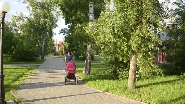 Hermosa madre joven caminando con cochecito de bebé en el parque, vacaciones familiares en un día libre en verano
 - Imágenes, Vídeo