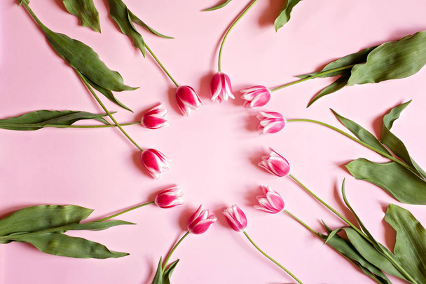 Flat lay floral armação redonda com tulipas rosa e folhas verdes em
 - Foto, Imagem