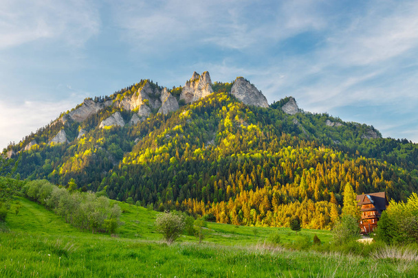 Primavera en el Pieniny con tres coronas de montaña en el fondo
 - Foto, imagen