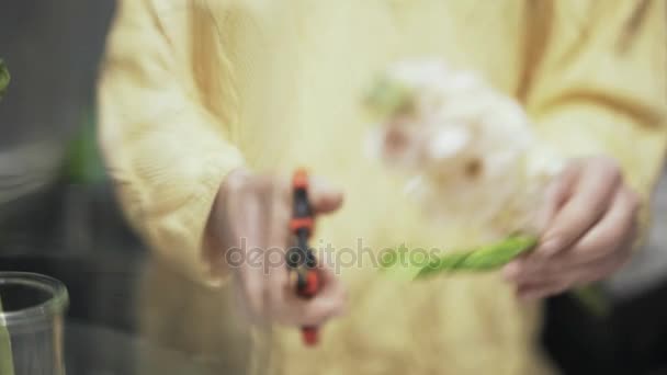 Woman florist cutting yellow flower stem - Πλάνα, βίντεο