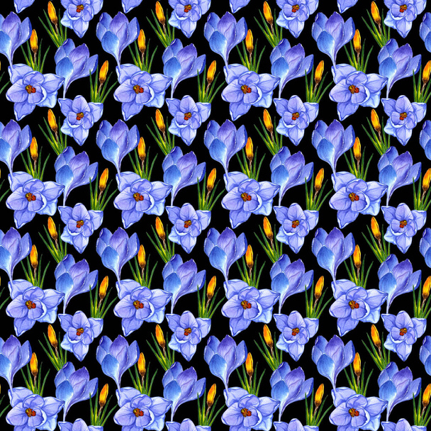 Wildflower crocuses flower pattern in a watercolor style isolated. - Photo, Image