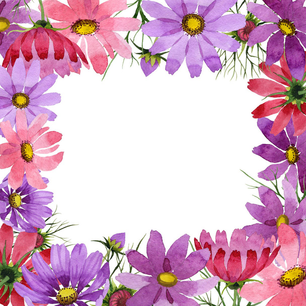 Wildflower kosmeya flower frame in a watercolor style isolated. - Фото, изображение