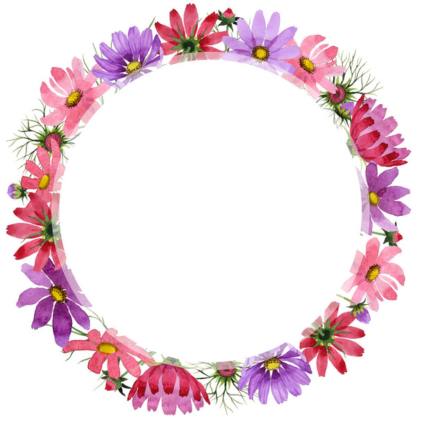 Wildflower kosmeya flower frame in a watercolor style isolated. - Photo, Image