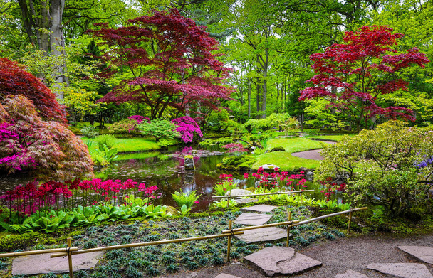 Tradiční japonská zahrada v Haagu. - Fotografie, Obrázek