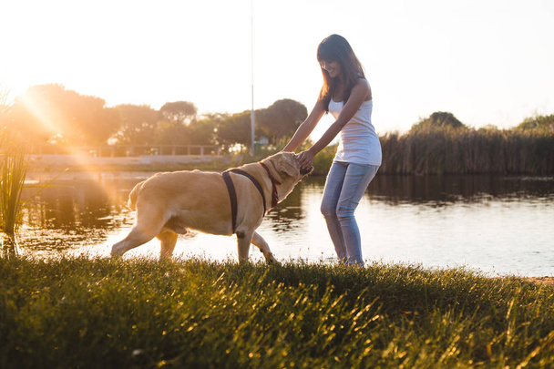 ラブラドール犬と遊ぶ若い女性 - 写真・画像