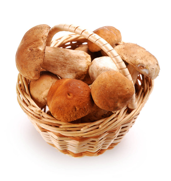 mushrooms in a basket - Фото, изображение