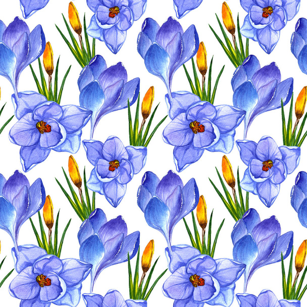 Wildflower crocuses flower pattern in a watercolor style isolated. - Fotoğraf, Görsel