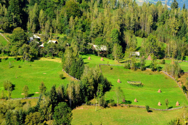Пейзаж у горах Apuseni, Трансільванії - Фото, зображення