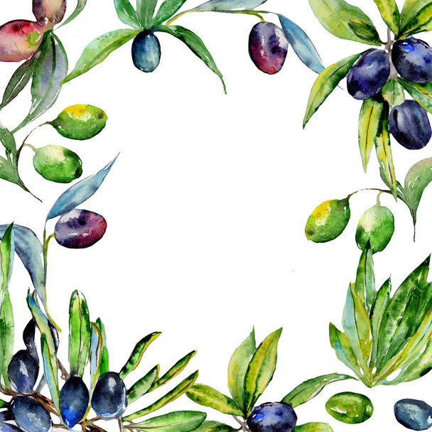 Olive tree frame in a watercolor style isolated. - Фото, изображение