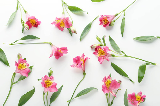 Flores de alstroemeria rosa
 - Foto, imagen