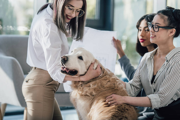 Femmes d'affaires avec chien au bureau
  - Photo, image