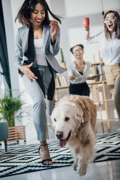 Businesswomen with dog in office  - Фото, изображение
