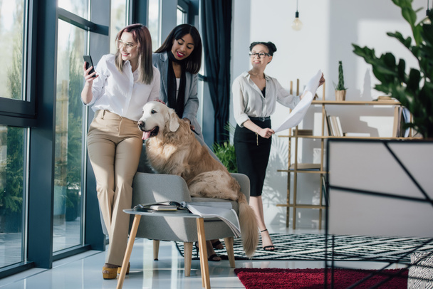 Businesswomen with dog in office  - Фото, изображение