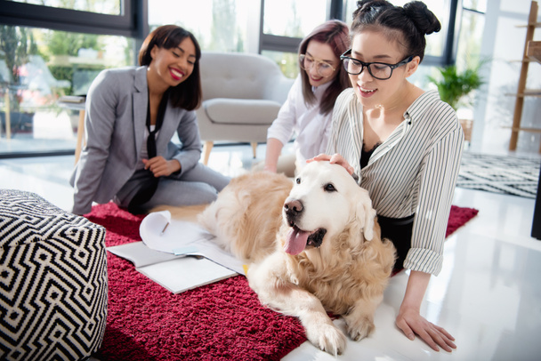 multiethnic businesswomen petting dog at office - Photo, Image